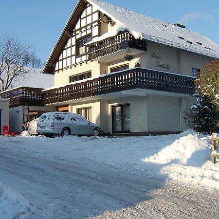 Haus Cristallo Olsberg Esterno foto