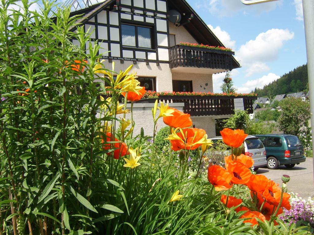 Haus Cristallo Olsberg Esterno foto