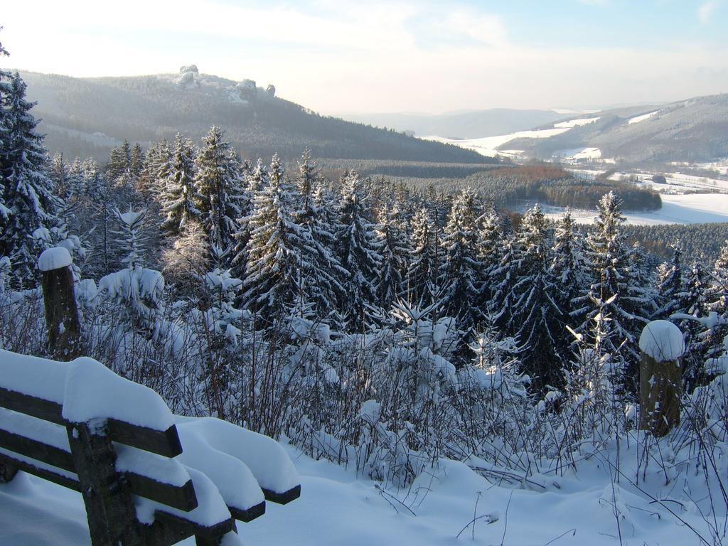 Haus Cristallo Olsberg Esterno foto