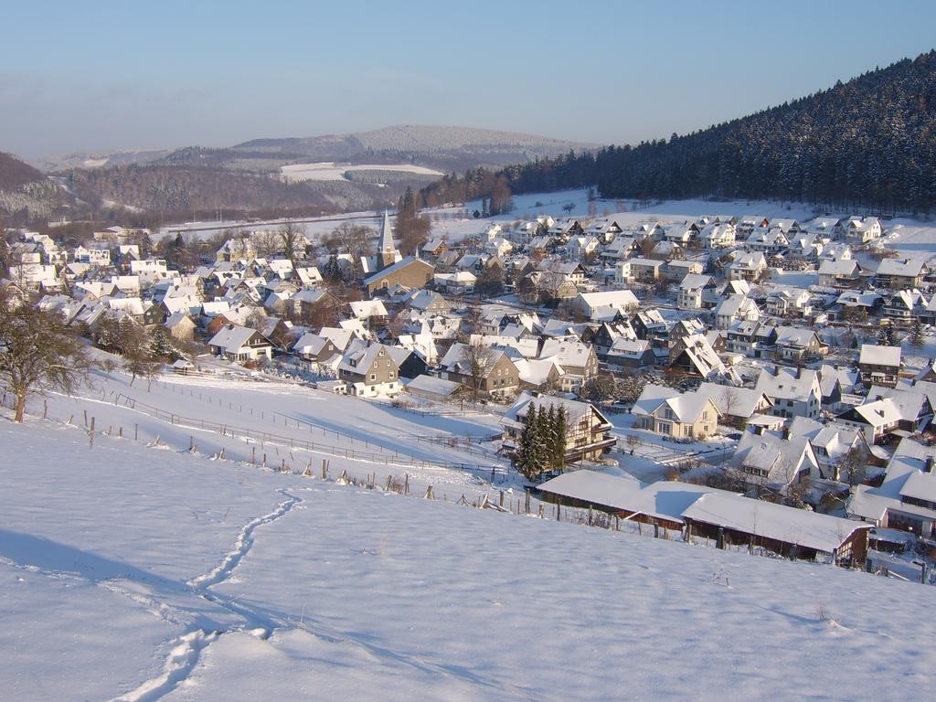 Haus Cristallo Olsberg Esterno foto